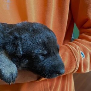 Meet your Posher, Jayden